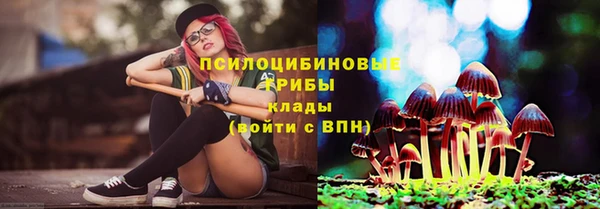 mdpv Алзамай