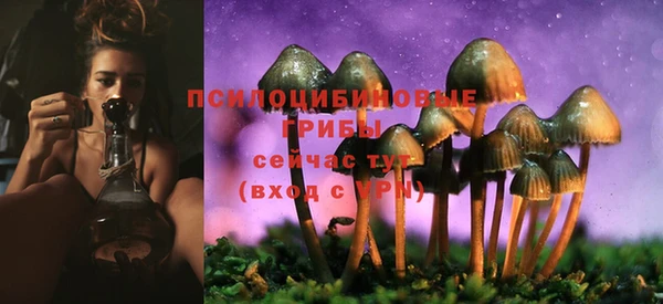 mdpv Алзамай